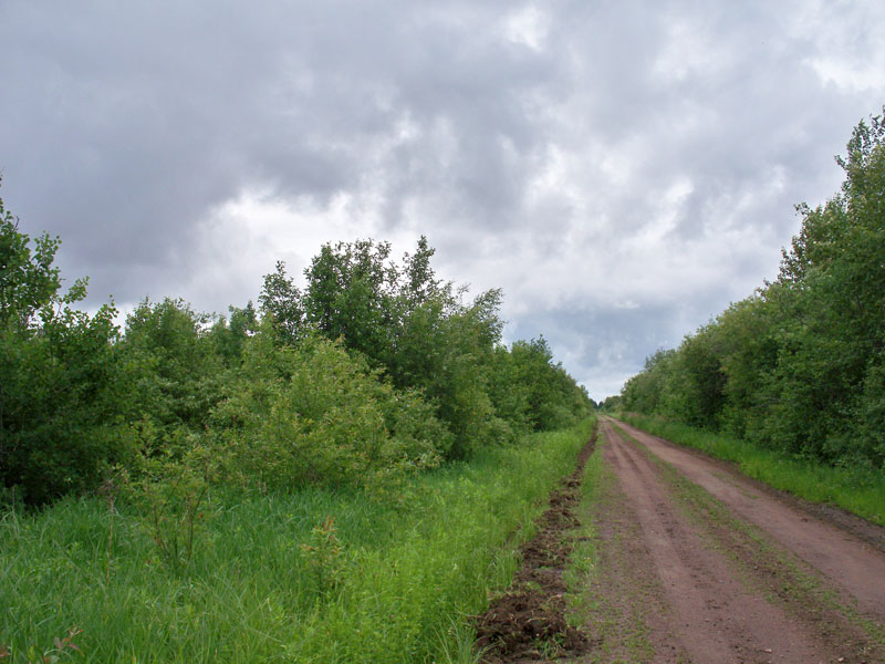 Pine Island Ranch Tract 2