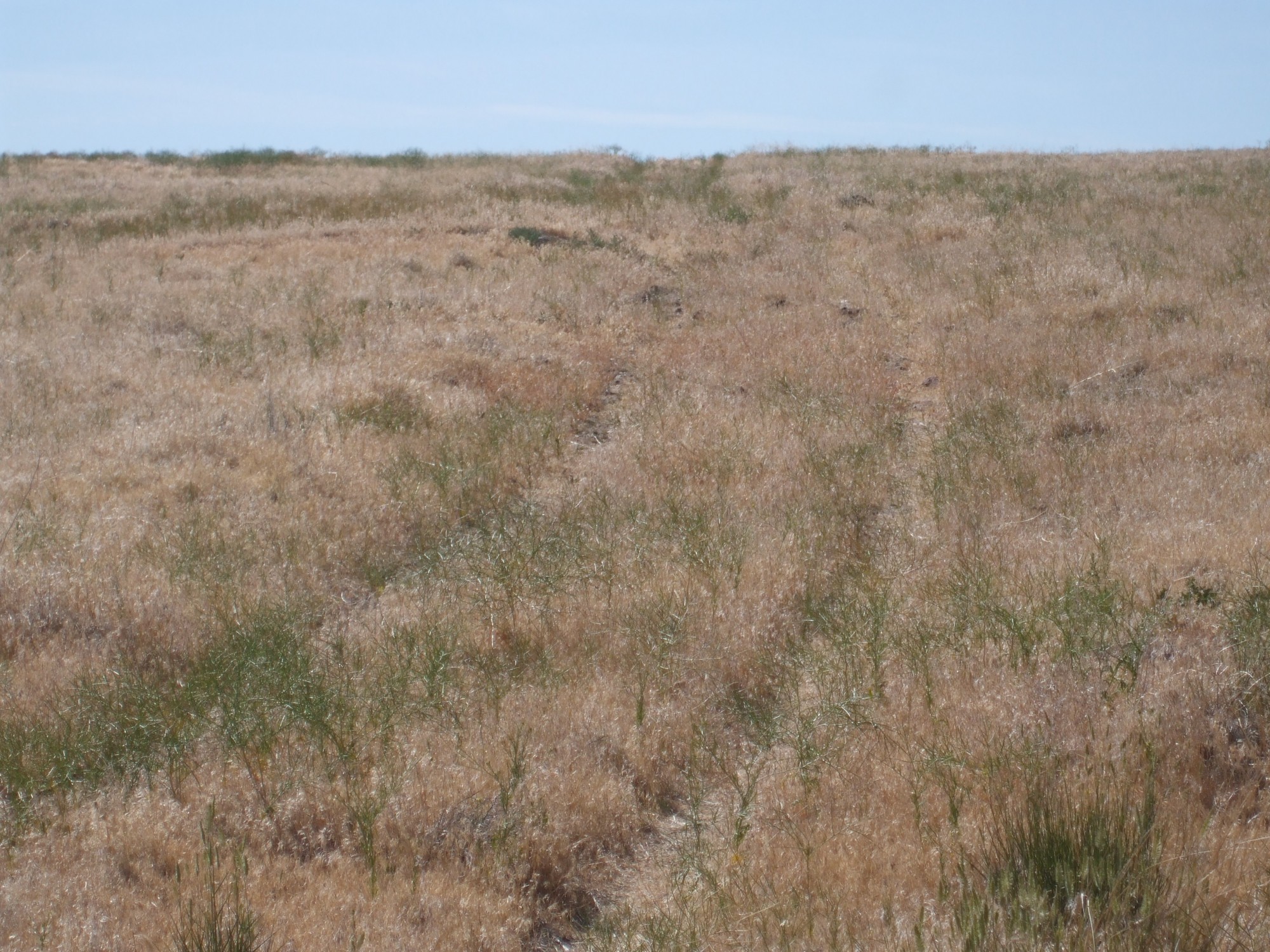 Elko County Tract W2