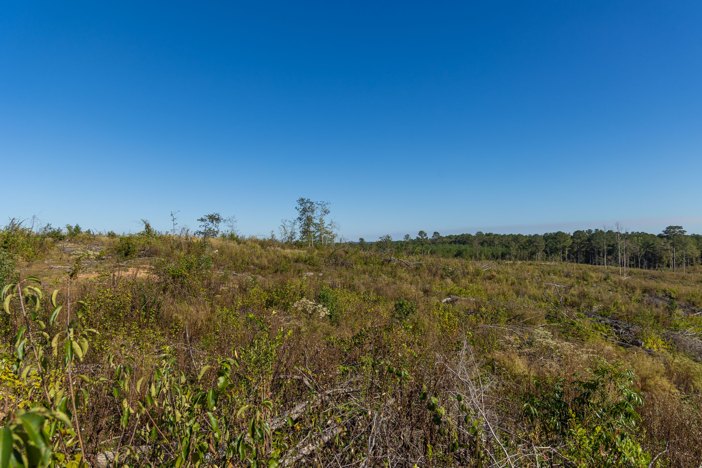 Meyer's Ridge Tract 39