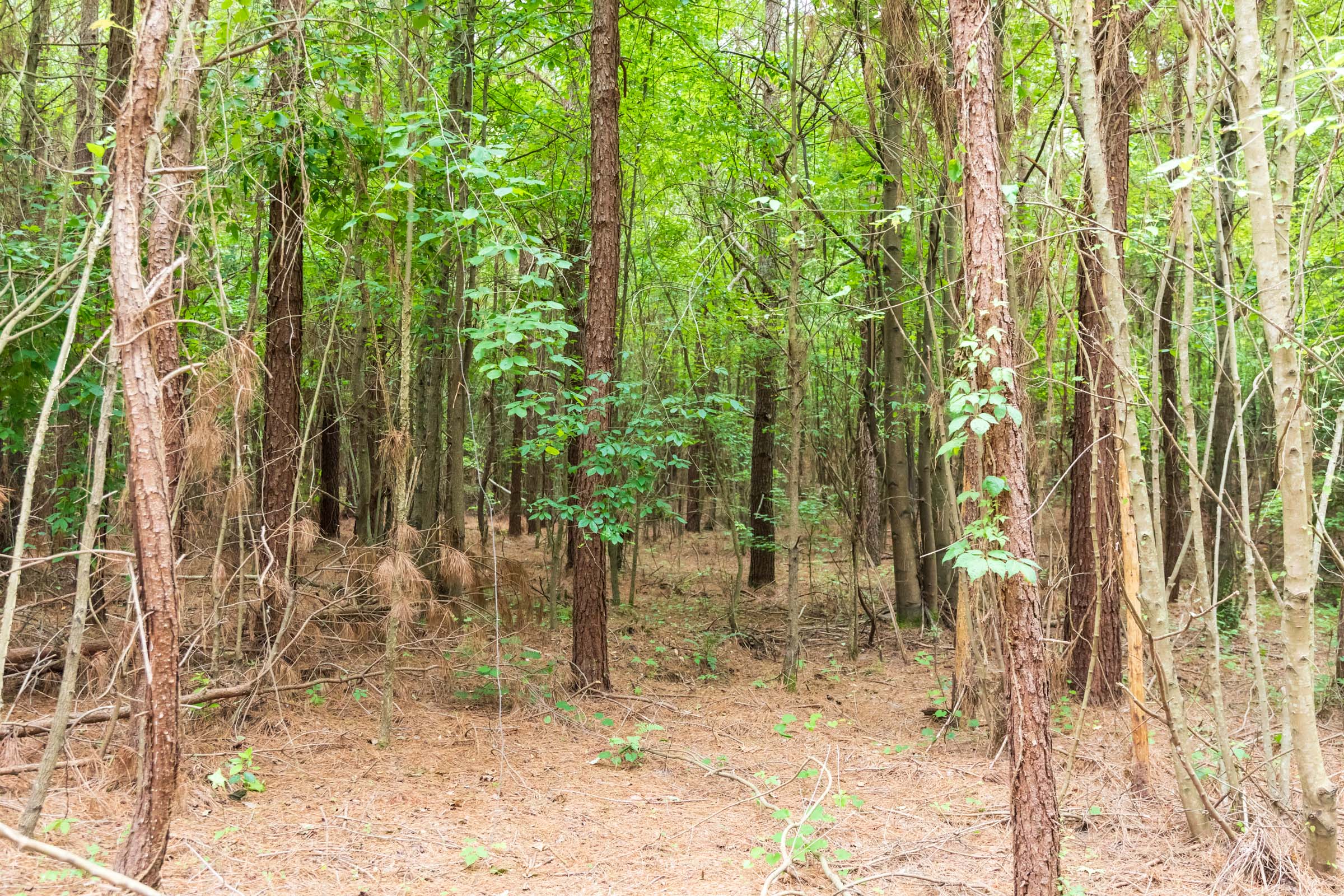 Whiskey Ridge Tract 67